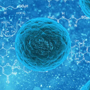 Essentiele bacterien voor de vijver